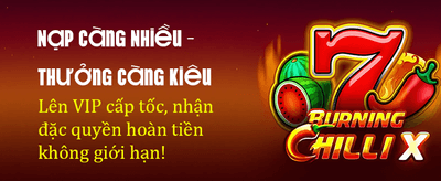 DR88 Online Casino Experience